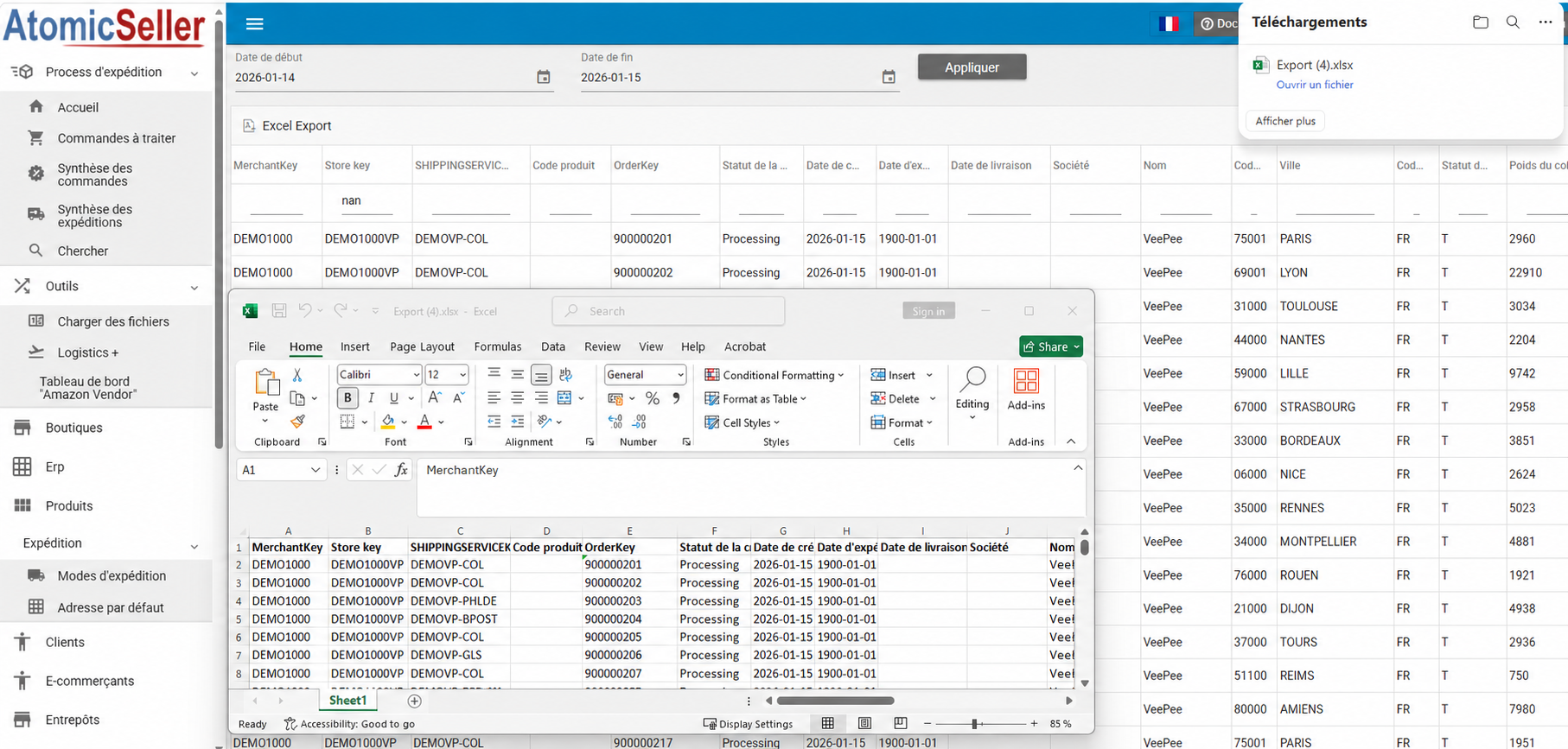 Downloaded order file opened in Excel